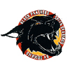 Black Panthers